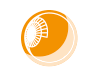 Illustra Essentials 2MP Varifocal Dome (op=op € 100,00)